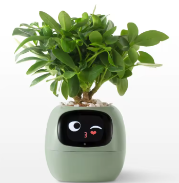 AI Smart Planter – Fun & Easy Plant Care